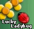 Lucky Ladybug